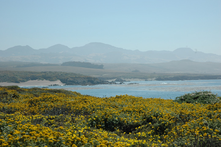 Piedras Blancos Lighthouse 037.jpg